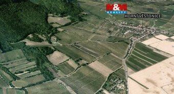 ПРОДАТЬ ВИННИЦЮ - БЖЕЗО У МИКУЛОВА | 4 351 м² Пропонуємо до