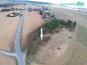 Prodáme pozemky č. 454/18 trvalý travní porost 1006m2 a poze