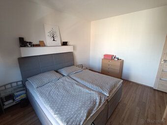 W poszukiwanej lokalizacji w miejscowości Olomouc-Holice