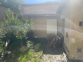 K pronájmu od září (října) nabízíme komerčně využitelný pros