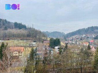 Vyměním 2 + kk, zrekonstruovaný, cihla,výtah Trávníky za vět