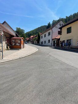 Přenechám zavedený gastro stánek na období červenec–září na 