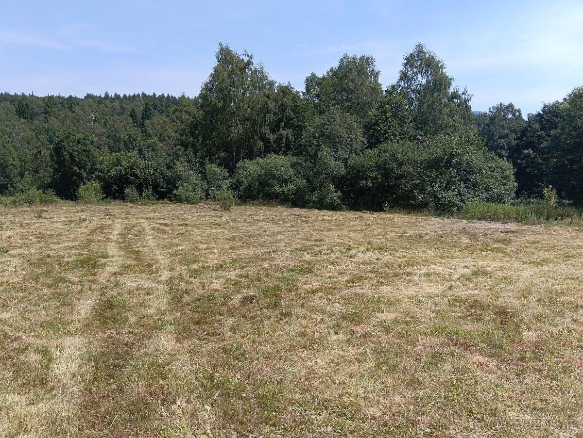 Szanowni Państwo, chcielibyśmy zaoferować piękną, bardzo