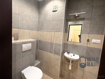 Ref. No. 06958 Sunny apartment 2+kk after reconstruction in