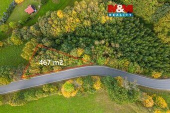 I sell forest plots in the cadastral area Zabreh na Morave