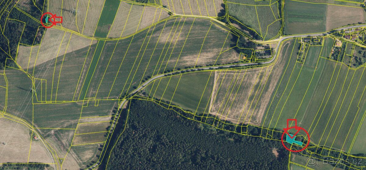 I sell forest plots in the cadastral area Zabreh na Morave