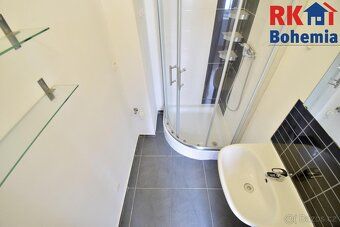 We offer for rent a bright apartment with layout 1+kk and