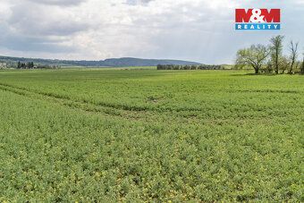 Продається цілісний набір ділянок загальною площею 13 630