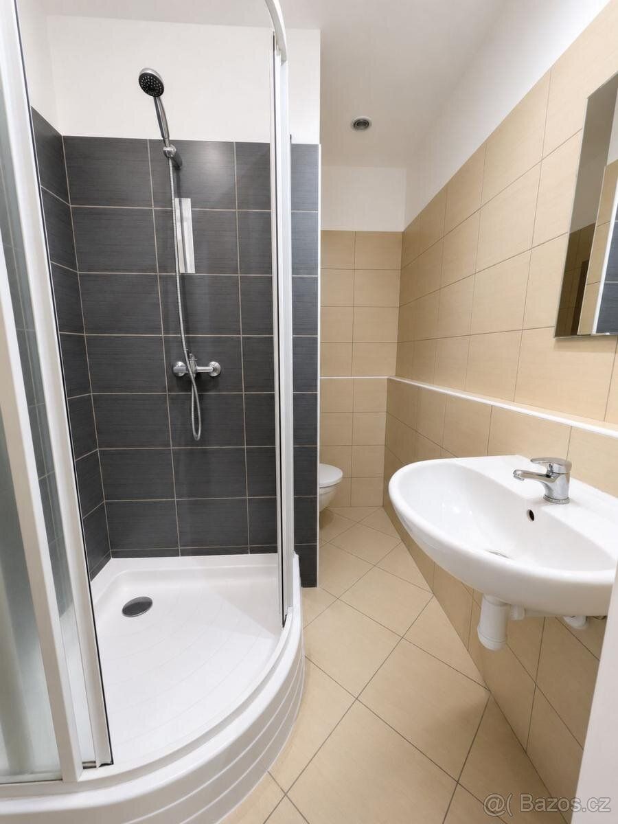 We offer for rent a bright apartment with layout 1+kk and