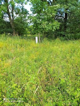 Agencja nieruchomości Sterling oferuje na sprzedaż