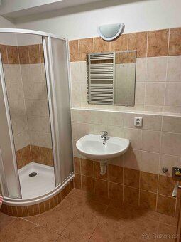 Nabízím k pronájmu světlý a udržovaný byt 1+kk s balkonem v 