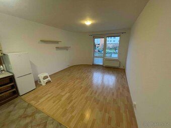 Nabízím k pronájmu světlý a udržovaný byt 1+kk s balkonem v 