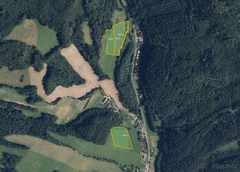 katastrálním území Hostice (okres Šumperk) nabízím k prodeji