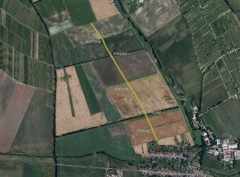 В кадастровій зоні Прушанок пропонуються до продажу
