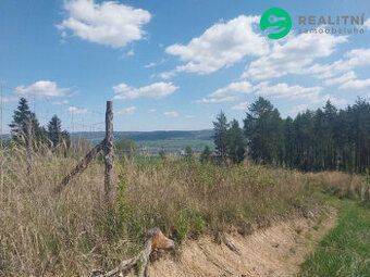 Oferuję na sprzedaż działkę w granicach ewidencyjnych Żdżar