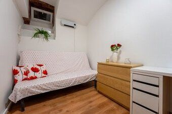 Přímo od majitele nabízím slunný byt 1+kk plus parkovací stá