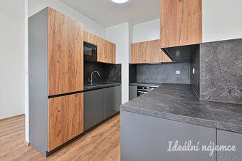 Přímo od majitele nabízím slunný byt 1+kk plus parkovací stá