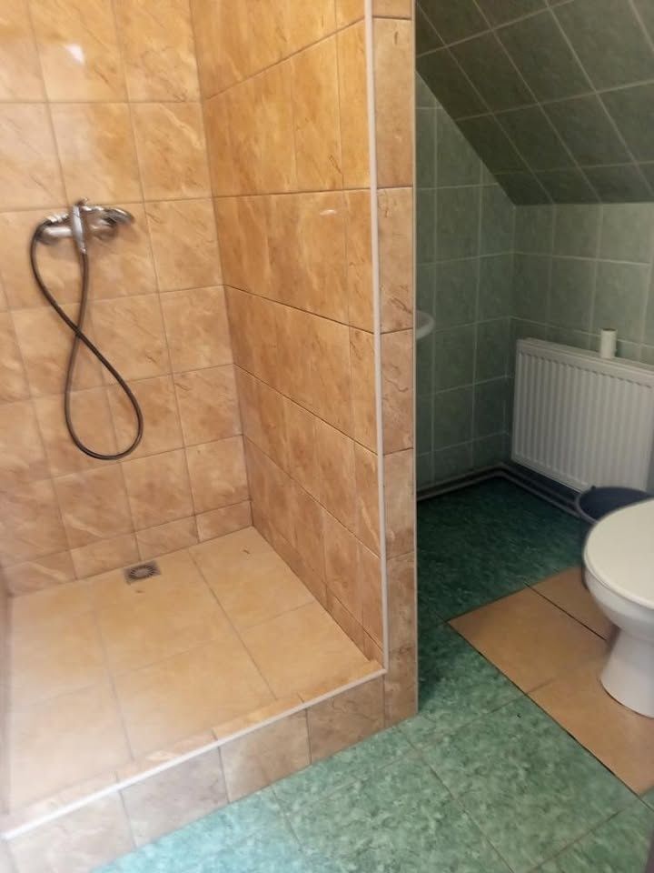 Pronajmu byt v rodinném domě v přízemí u Luže 1kk se sociáln