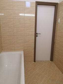 Pronájem prostorného bytu 2+1 (66m2) po rekonstrukci s balko