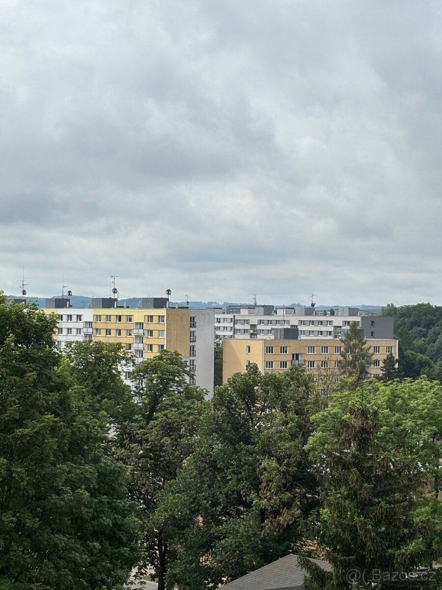 Pronajmu byt 1+1 s kumbálem a balkonem, po částečné rekonstr