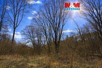 Продається великий земельна ділянка площею 4109 м² у місцевості Літомєріце