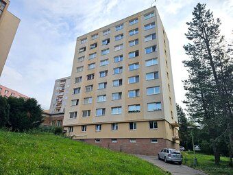 Szukasz mieszkania w spokojnej części miasta z przyrodą tuż za plecami, ale