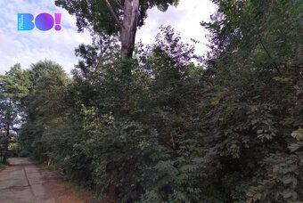 Nabízíme k prodeji soubor pozemků vedených jako orná půda, t