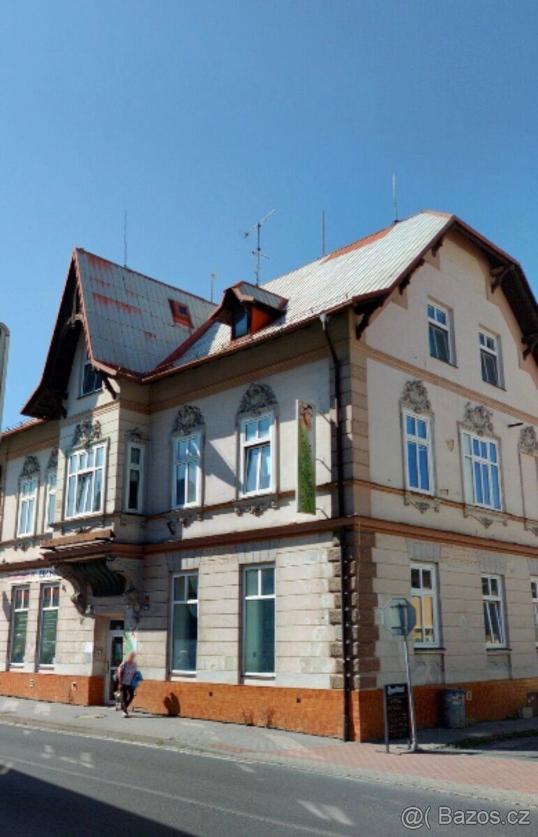 Nabízím k pronájmu nebytové prostory ke komerčnímu využití. 
