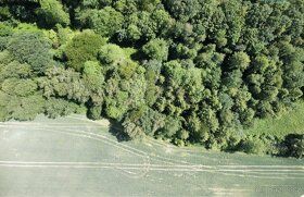 Я пропоную Вам купити набір з двох лісових та одного сільськогосподарського ділянок у кадастрі села Гдоновіце.