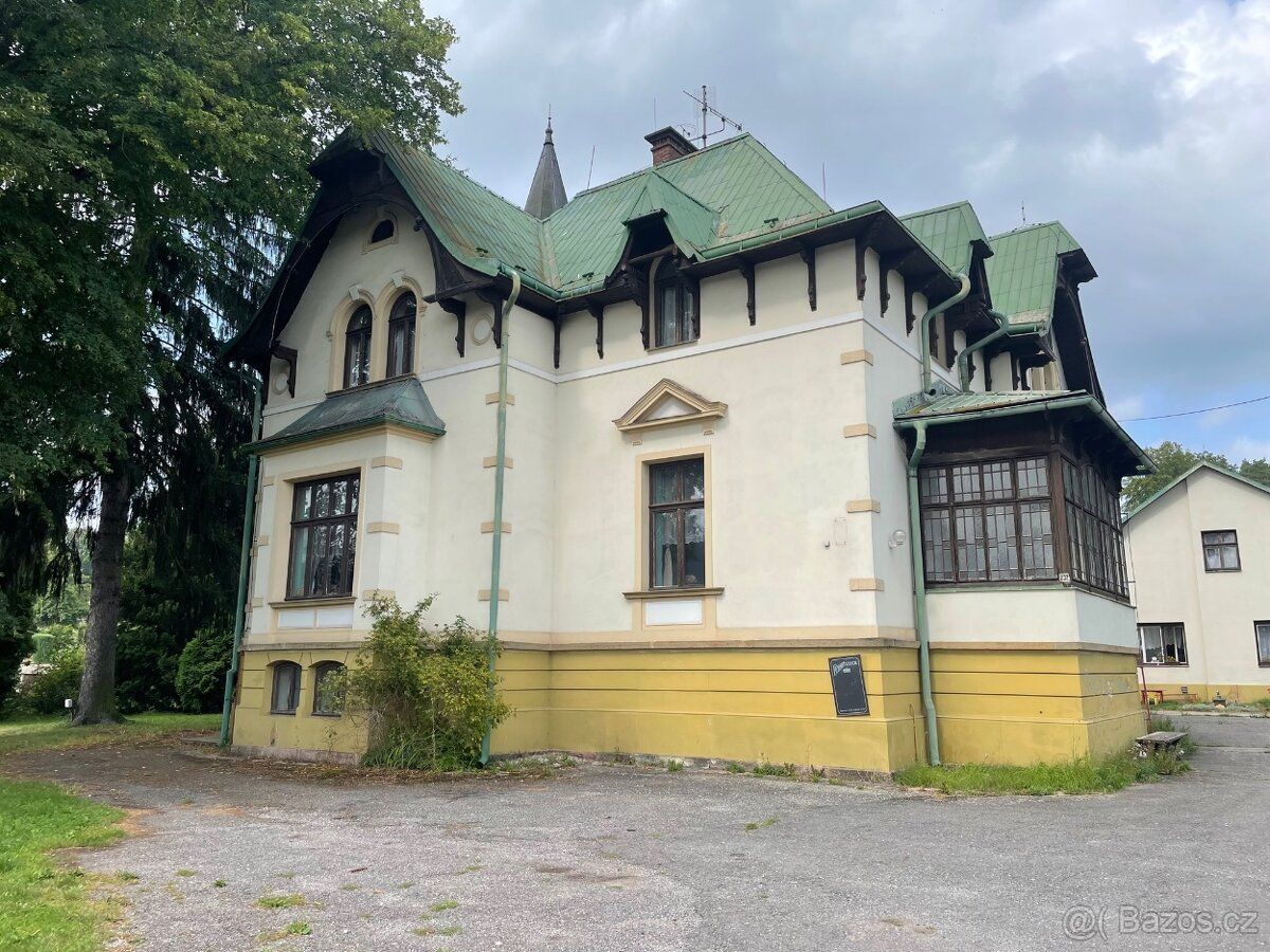 Nabízíme pronájem nebytového prostoru, bývalá restaurace v T