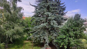Hledáte klidné bydlení v příjemné lokalitě plné zeleně?
Nabí