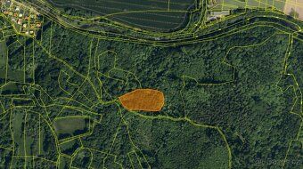 Sell forest in private ownership (I am the owner directly)