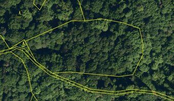 Sell forest in private ownership (I am the owner directly)
