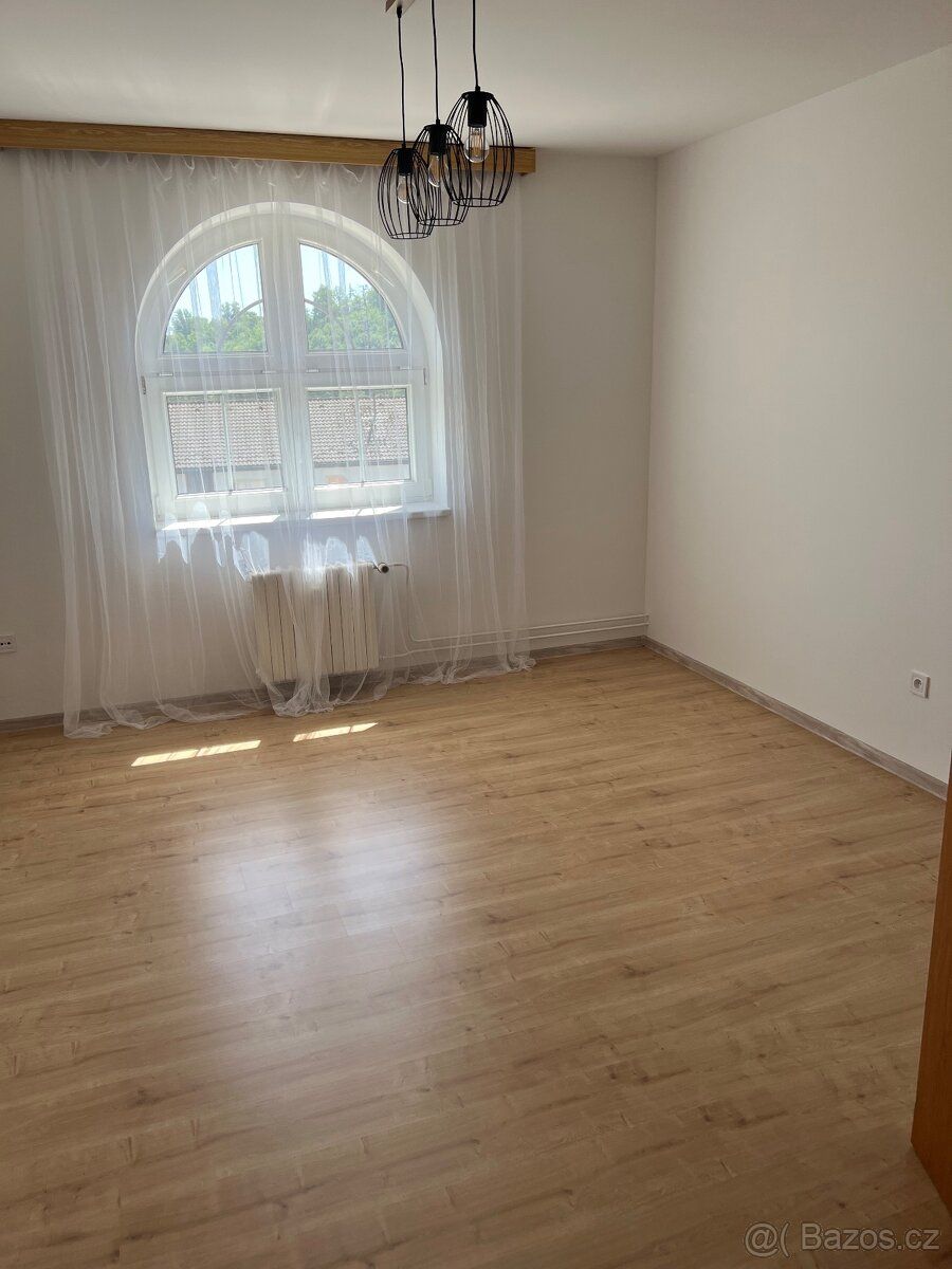 Nabízím k dlouhodobému pronájmu světlý byt 2+1 o velikosti 5