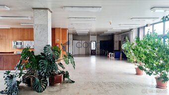 Nabízíme k pronájmu komerční prostor o výměře 170 m² v lokal