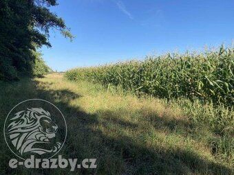 Ev.č. 212E30225AP Dne 4.8.2026 od 10:00 hod., se koná dražba