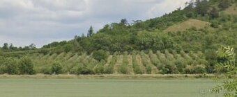 Prodám pozemek v malé obci Lukohořany ve velikosti 846m2. Po
