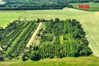 Lesní pozemek v Litohoři – příležitost pro investici i lesní
