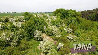 Ew. nr 00179 K do sprzedaży oferujemy grunty rolne w strefie zewnętrznej miasta Mladá Boleslav.