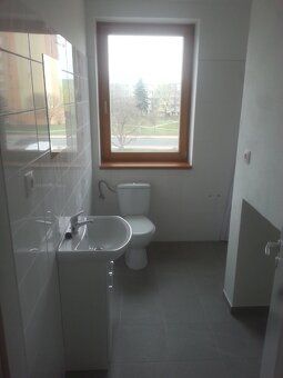 Dobry den,
pronajmu od 1.8. hezky, moderni byt 1kk cca 34 m2