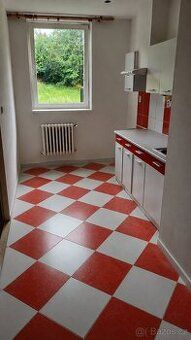 Pronajmu bytovou jednotku 2kk okolo 55m² na náměstí v Nové P