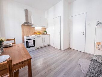 Nabízíme k pronájmu krásný, slunný byt 2+1 o užitné ploše 55