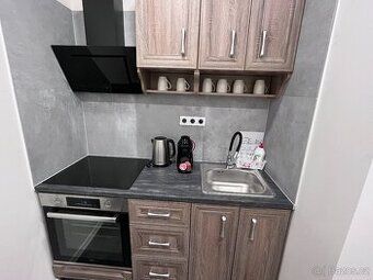 Nabízíme k pronájmu krásný, slunný byt 2+1 o užitné ploše 55