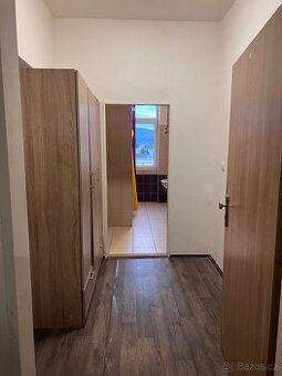 Nabízíme k pronájmu krásný, slunný byt 2+1 o užitné ploše 55