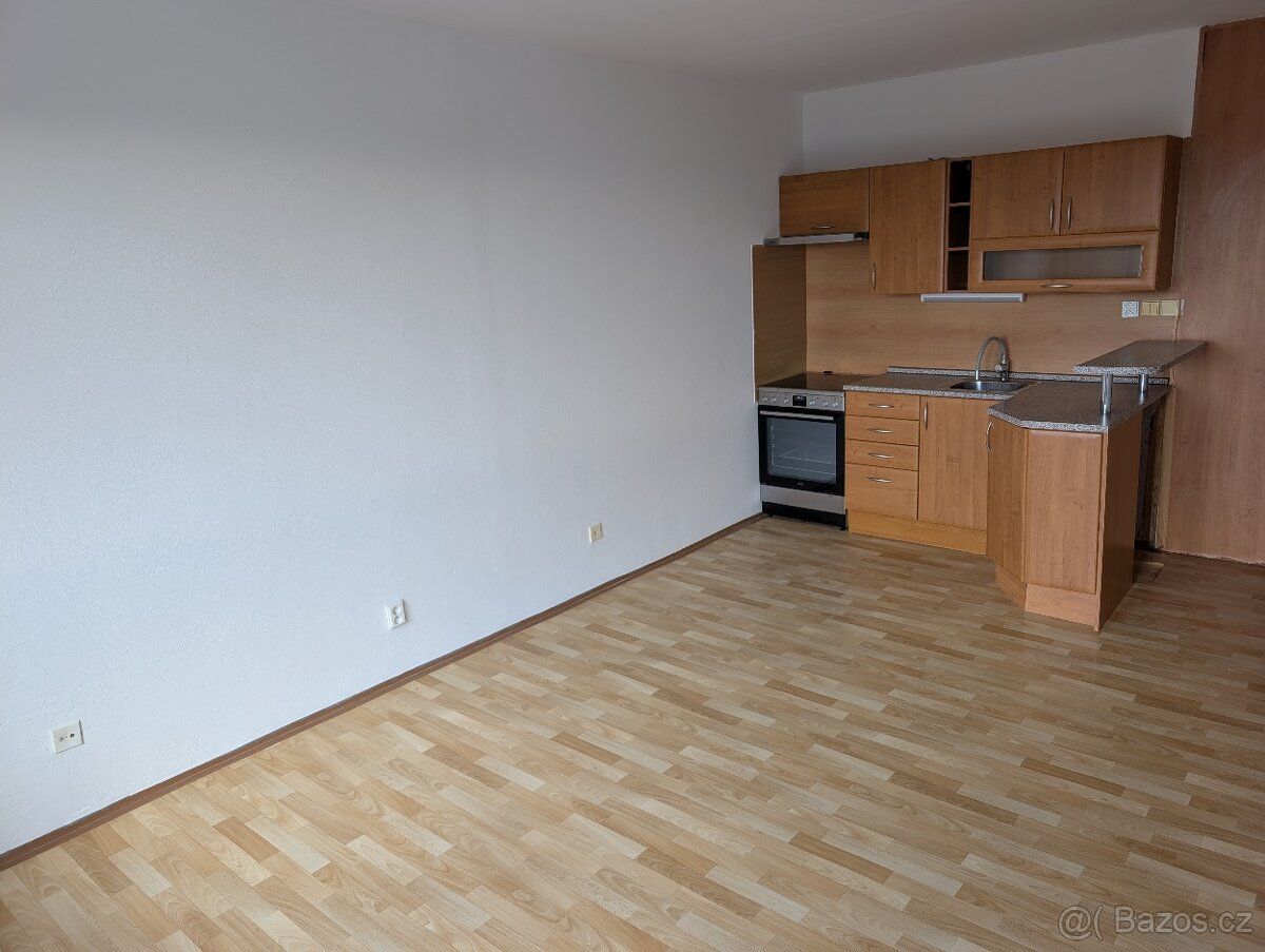 I am renting out a partially renovated bright apartment of large size...