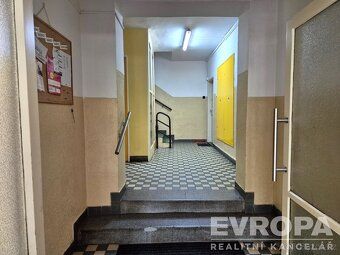 Oferujemy długoterminowy podnajem jasnego i bardzo dobrze