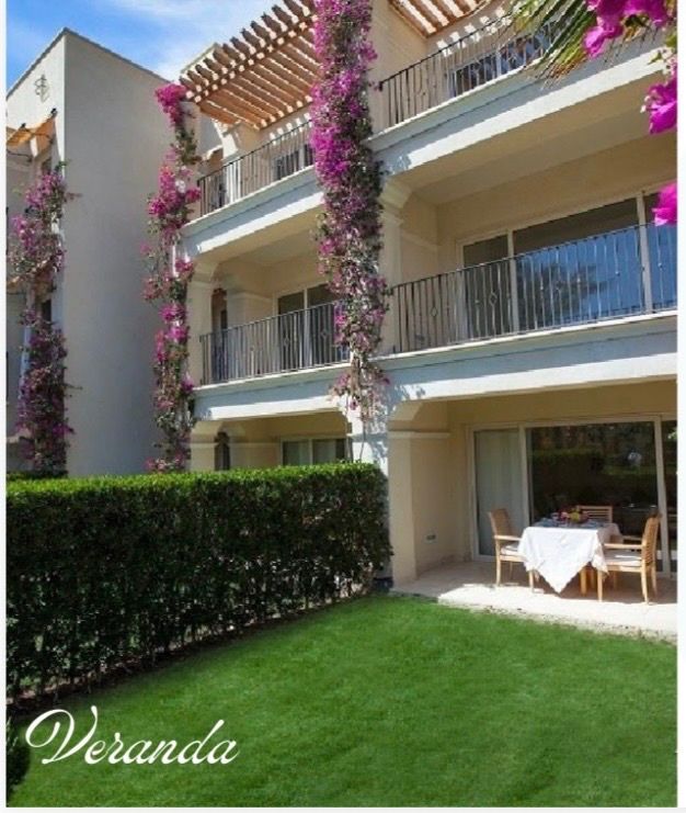 Investment Opportunity: Luxurious Studio in Veranda Resort (Sa