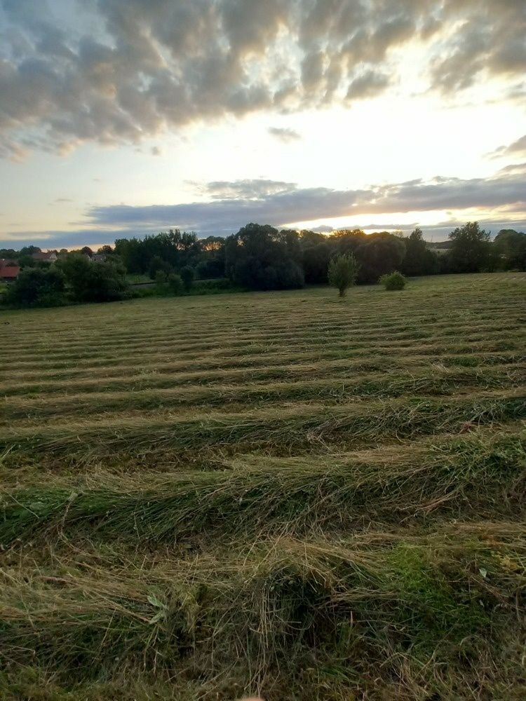 Máme záujem si prenajímnuť Váš poľnohospodársky pozemok v