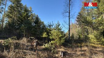 Oferujemy na sprzedaż leśną działkę w granicach