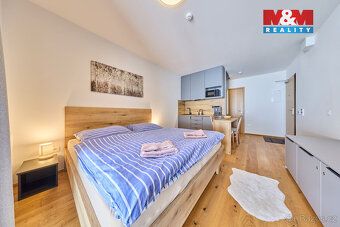 Ski apartment 1+kk 34 sqm for sale in Janske Lazne